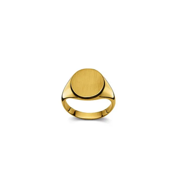 Plattenring 18 Karat Gold 53-1902