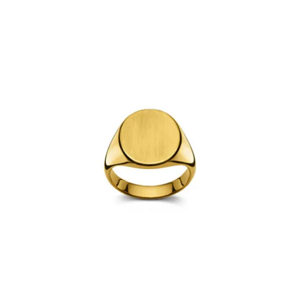 Plattenring 18 Karat Gold 53-1903