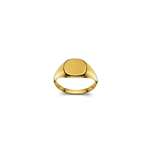 Plattenring 18 Karat Gold 53-1905