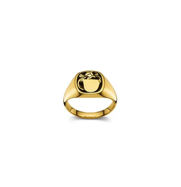 Wappenring 18 Karat Gold 53-1911